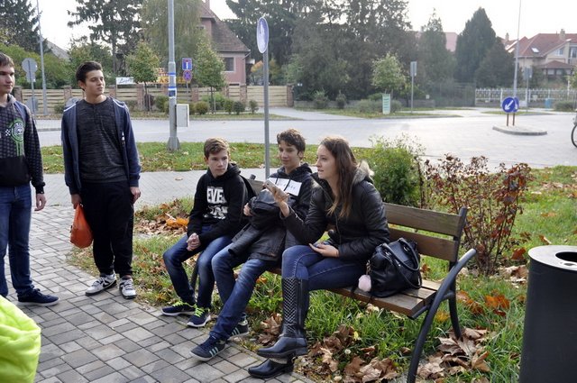 csibetábor az aranyban 06